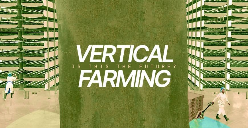 Is Vertical Farming The Future of Agriculture? 