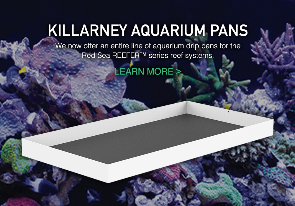 Aquarium Pans