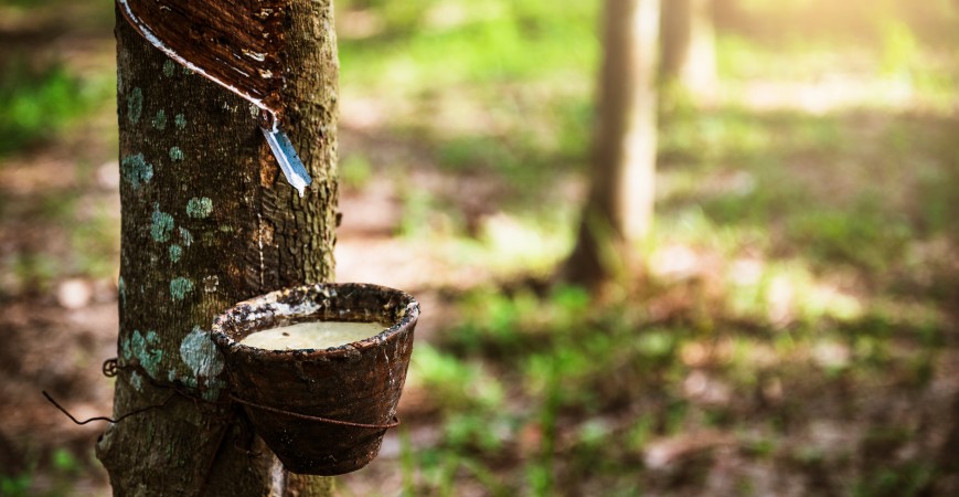 What is Natural Rubber?