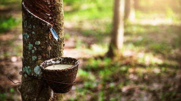 What is Natural Rubber?