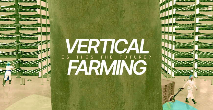 Is Vertical Farming The Future of Agriculture? 